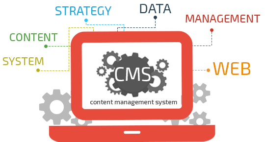 CMS Web Development | CMS Website Development Company in Dubai